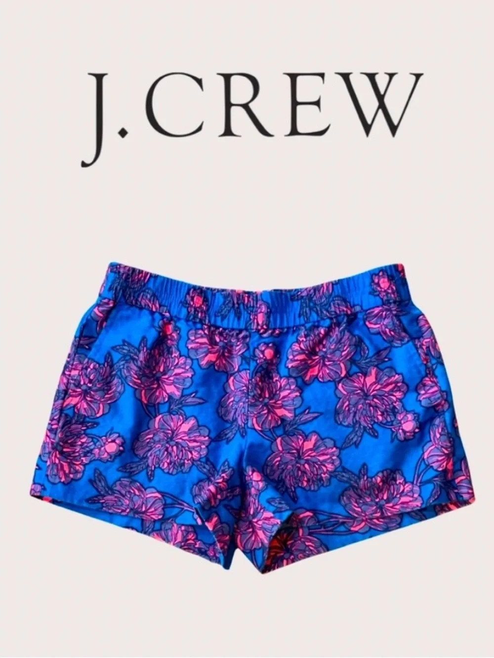 J Crew Women’s Elastic-Waist Linen Blend Shorts in Blue & Pink Size 10 NWOT